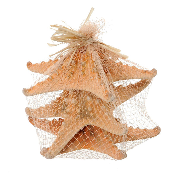 prezzo Set 12 Stelle Marine in Rete 20 cm