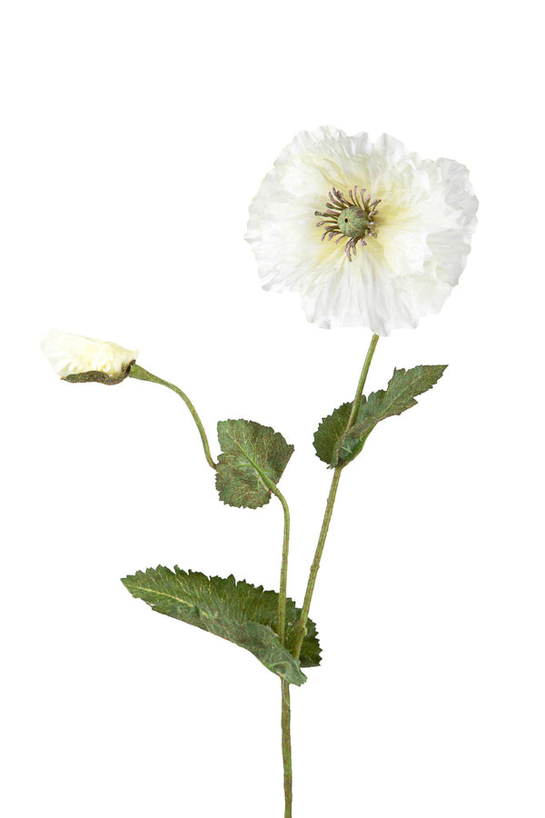 Set 12 künstliche Mohnblumen mit 2 Zweigen mit Blumen Höhe 73 cm prezzo