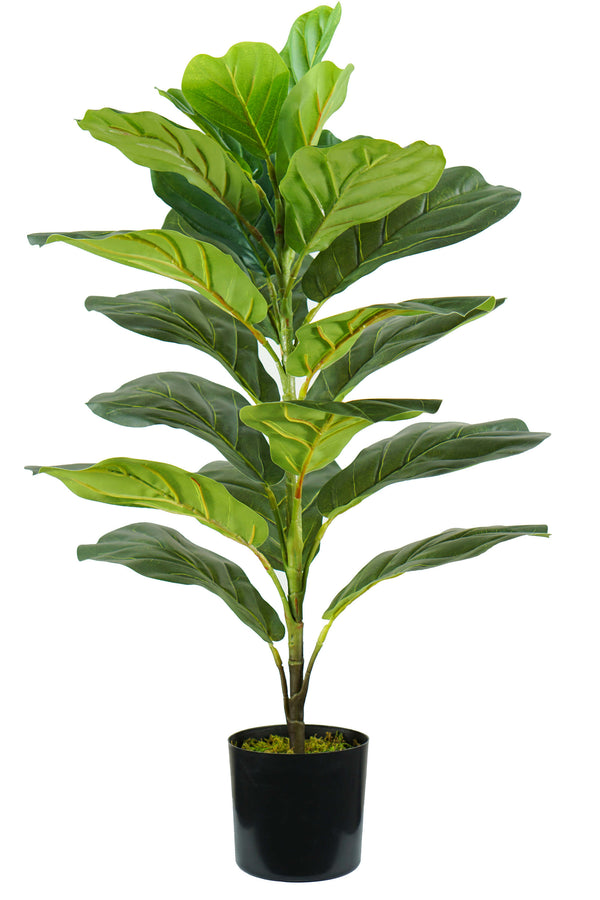 Kunstpflanze Ficus Lyrata H75 cm mit grünem Topf acquista