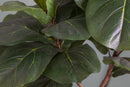 Ficus Lyrata Artificiale in Vaso con 34 Foglie Altezza 150 cm Verde