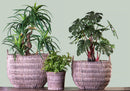 Set 2 Cesti in Materiale Rattan Willow con Manici H 30 cm