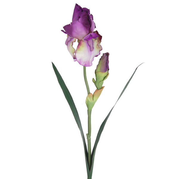 prezzo Set 6 Iris Bestehend aus 2 Kunstblumen Höhe 73 cm Lila