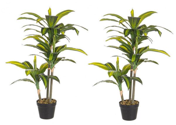 acquista Set 2 Piante Artificiali Dracaena 88 h in Plastica con Vasi Verde