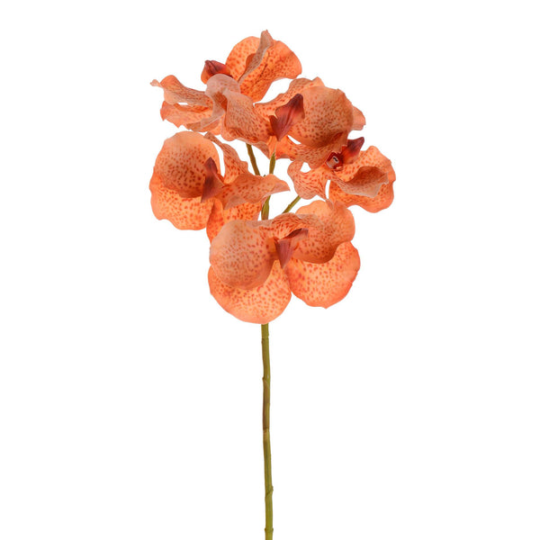 sconto Set 4 Vanda Künstliche Orchideen Höhe 62 cm Orange