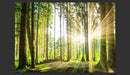 Fotomurale - Forest Tales Carta Da Parato Erroi