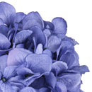 Set 2 Ortensia Artificiale Altezza 71 cm Blu