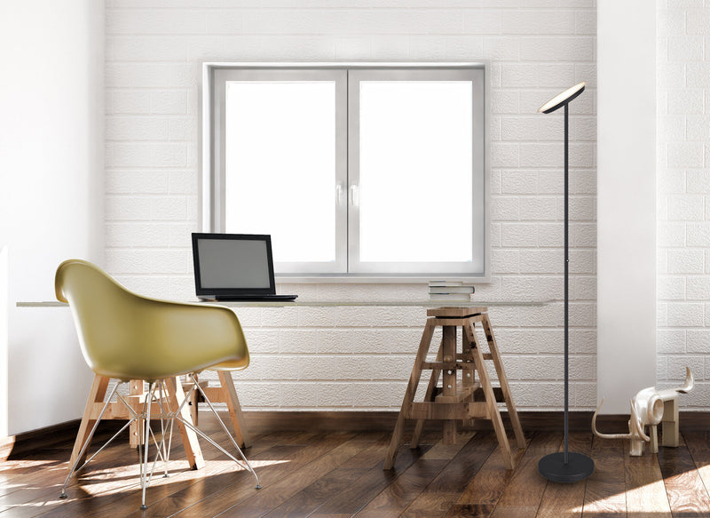 Piantana da Interno a LED in Metallo Nero Opaco