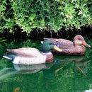 Germano Decorativa H18 cm per Laghetti da Giardino