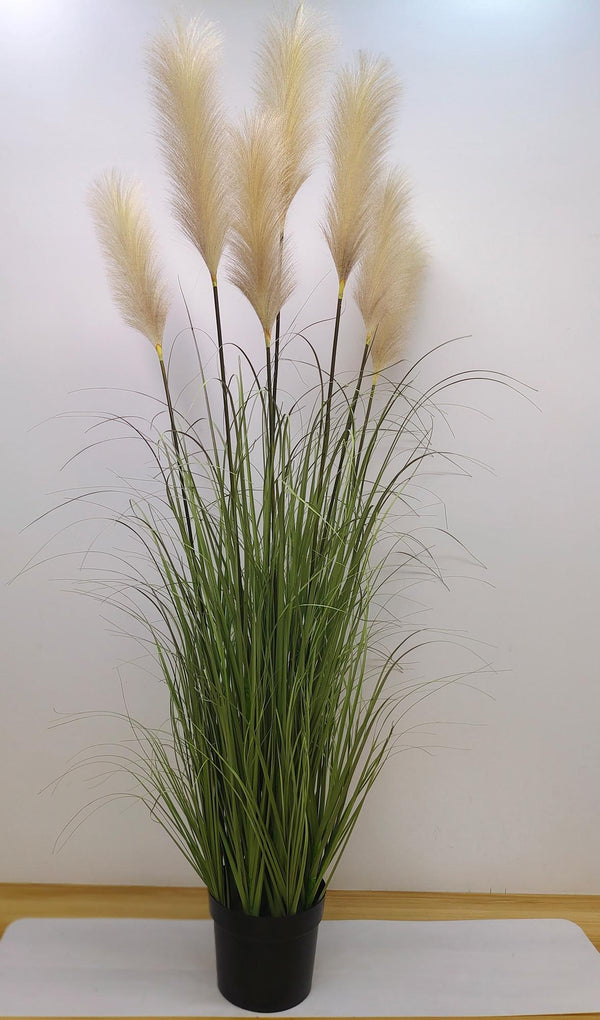 acquista Festuca Glauca Kunstpflanze mit grünem Topf H.175 cm