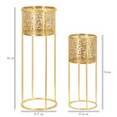 Porta Vasi Nat Coppia Ø17x46 cm - Ø14x34 cm in Ferro Oro      