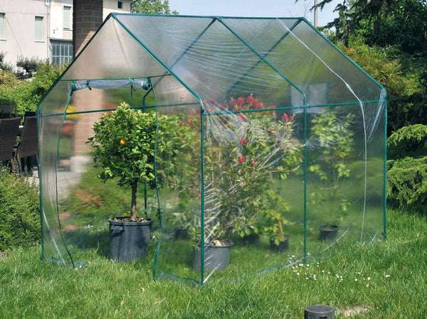 Stahlgarten-Gewächshaus mit grünem Narzissen-Rama-Tuch prezzo