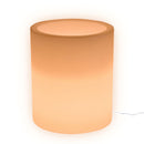 Vaso Luminoso da Esterno 35x42 cm In Polietilene Rose Led Bianco Caldo