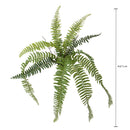 Set 3 Foglie Artificiali Felce Boston per 14 67 cm Ø 23 cm