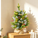 Mini Albero di Natale Ø43x60 cm con Luci LED 141 Rami con Pigne e Bacche Rosse Base in Cemento Verde      