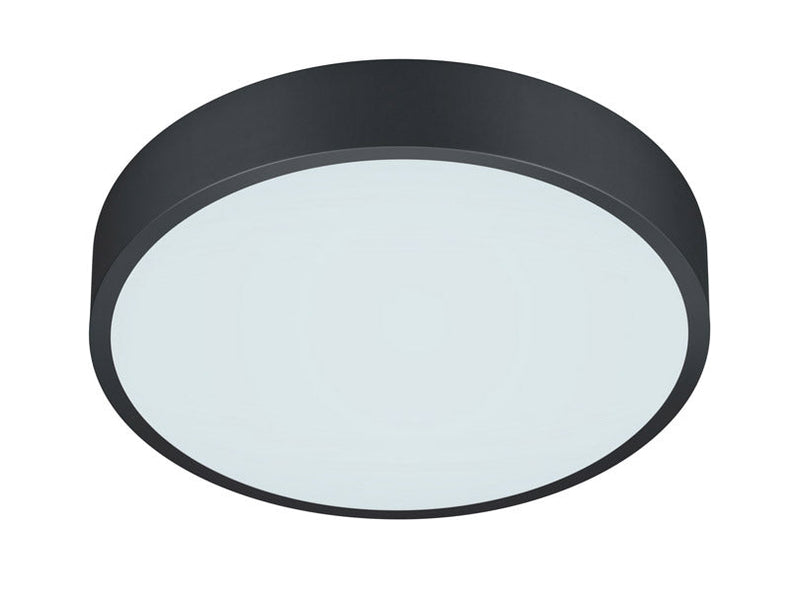 Plafoniera da Interno a LED in Metallo Nero Opaco