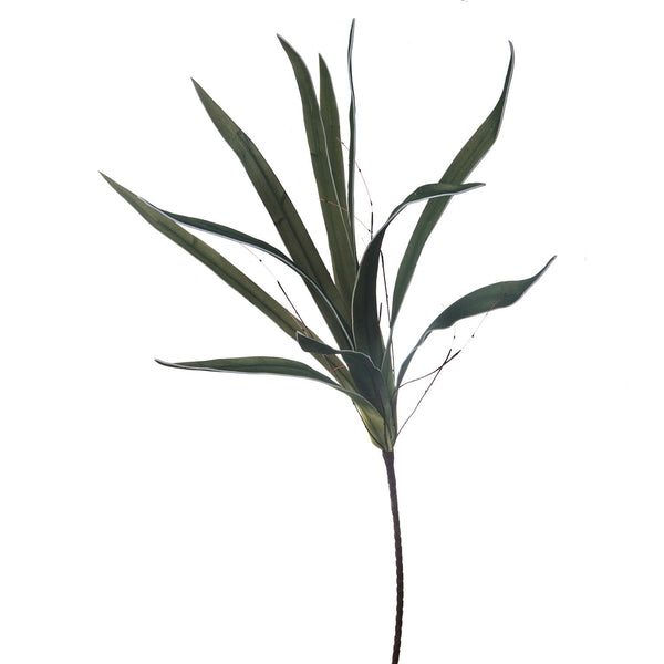 sconto Set 4 künstliche Aloe-Pflanzen, Höhe 115 cm, grün