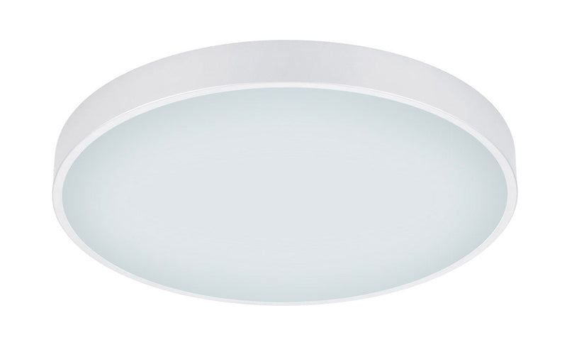 Plafoniera da Interno a LED in Metallo Bianco Opaco