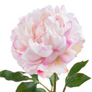 Set 4 Rami Artificiali Peonia Gigante H 57