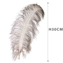 Set 5 Piume di Struzzo H 30 35 cm Circa