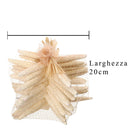 Stelle Marine Sbiancata 10 Pz 15x20 cm