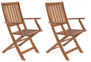 Set 2 Sedie da Giardino 58x60x92h cm con Braccioli Mali Piegh