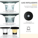 Luce da Esterno a Energia Solare Ø23,5x60 cm in Alluminio Nero