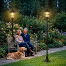 Set 2 Lampioni Solari da Giardino Ø235x186 cm Lampada 2 Modalità 50-100 LM in Acciaio Inox Nero      