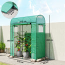 Serra da Giardino 170x68x200 cm Porta Avvolgibile e Finestre a Rete con Rivestimento in PE Verde      