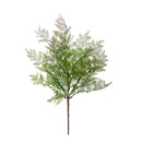 Set 6 Cespugli Capelvenere 51 cm