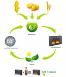 Camino a Bioetanolo da Pavimento 110x75 cm Insigno Bianco con Vetro