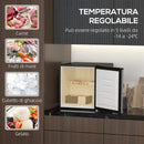 Frigo Portatile 35L con Ripiano Rimovibile e Temperatura Regolabile 47x44.2x48.8 cm Argento      