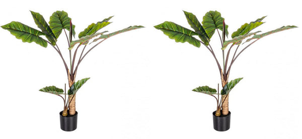 acquista Set 2 Piante Artificiali Dieffenbachia Ø100x134 cm in Plastica con Vasi Verde