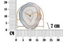 Orologio da Tavolo Twin 20x7x19,5 cm in Ferro e MDF Multicolor