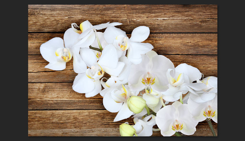 Fotomurale - Delicatezza Su Legno Carta Da Parato Erroi