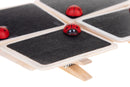 Set 12 Mollette con Lavagne Rettangolare e Coccinella Ø 6 cm