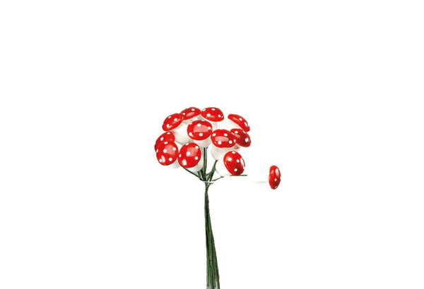Set 24 Pilzpicks Ø1 cm Rot acquista