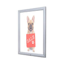 Bacheca con Apertura a Ribalta 70x100 cm in Alluminio Porta Poster Silver