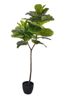 Ficus Lyrata Artificiale in Vaso con 34 Foglie Altezza 150 cm Verde