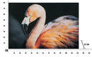 Stampa su Tela con Applicazioni Flamingo 120x3,8x80 cm in Legno e canvas