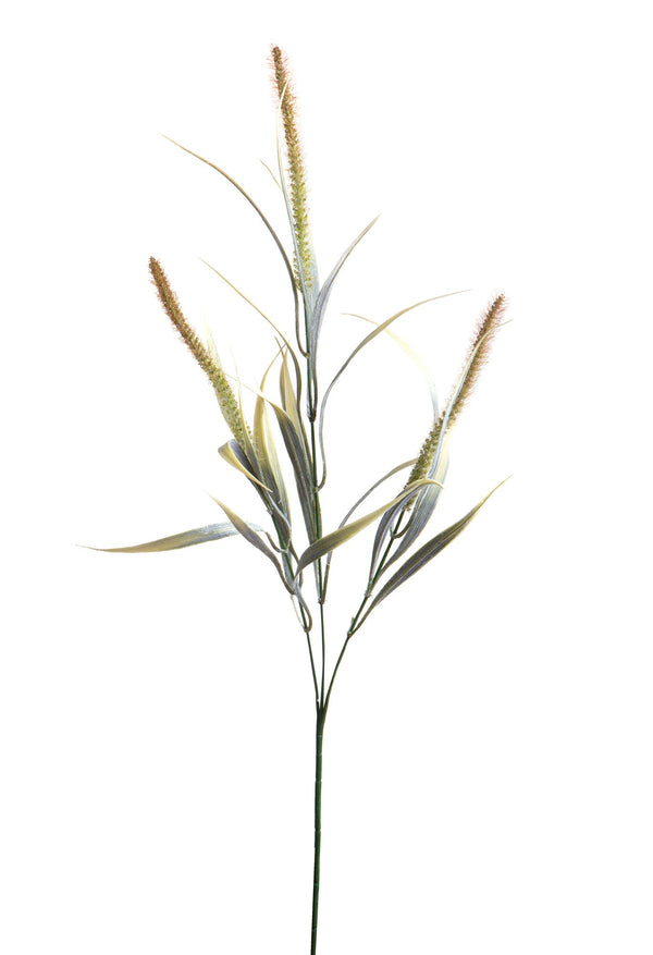 Set mit 24 künstlichen Setaria-Pflanzen, bestehend aus 3 Zweigen, Höhe 84 cm, braun sconto