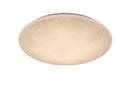 Plafoniera da Interno a LED in Plastica Bianco
