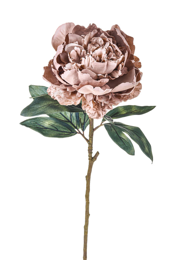 sconto Set 4 Künstliche Pfingstrosen in Antikoptik einzeln Höhe 72 cm Beige