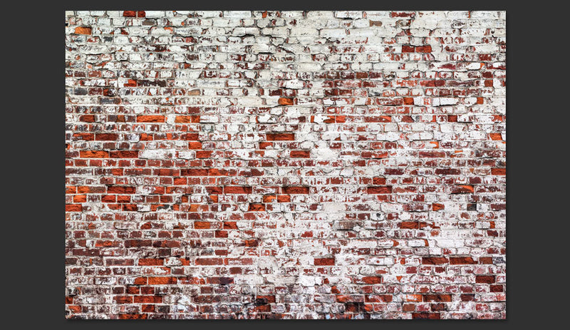 Fotomurale - Her Highness The Brick Carta Da Parato Erroi