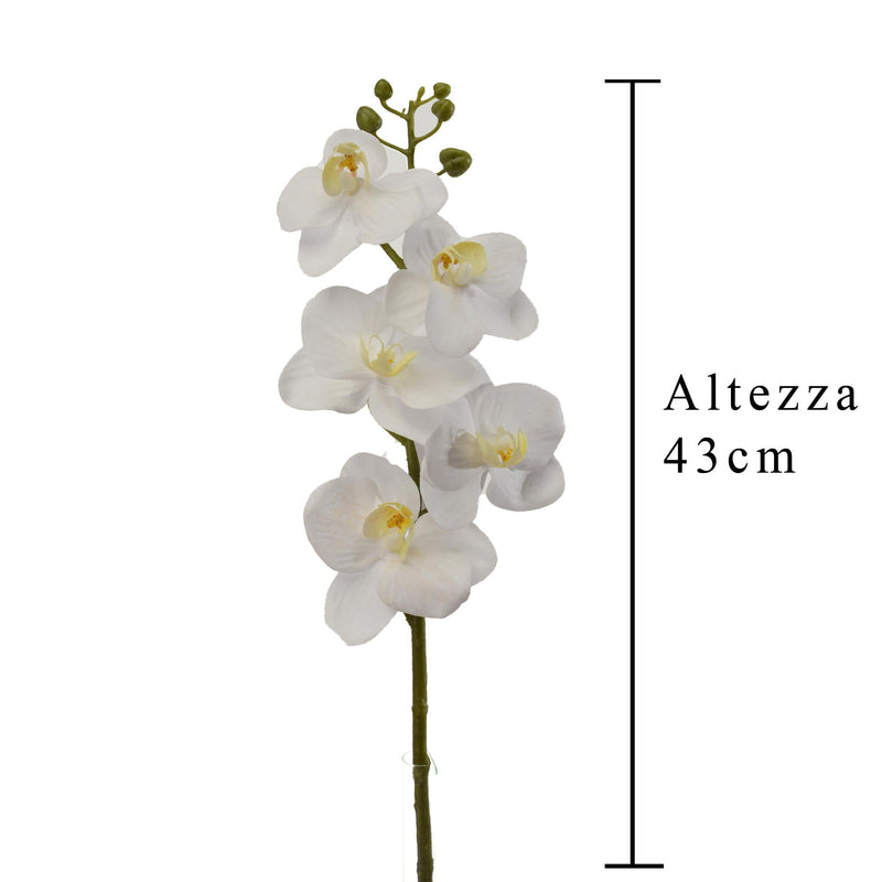 Set 6 Mini Phalaenopsis Artificiali Altezza 43 cm Bianco