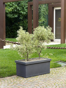 Vaso 80x40x35cm in Resina Tulli Cassetta Liscia Classic 80 Antracite