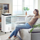 Climatizzatore Raffrescantore d'Aria Portatile 60W Ventilatore Ionizzatore 4 in 1 con Telecomando Silenzioso Oscillante Serbatoio 10L Bianco e Nero      