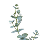 Set 4 Staccionata Eucalipto Rami 75 cm