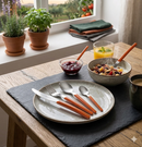 Servizio Set di Posate 24 pezzi in Acciaio Inox Eme Loto Arancio 1235C
