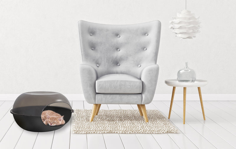 Cuccia per Cani e Gatti 57x48x31 cm in Polipropilene Nero Trasparente