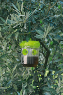Set 2 Trappole per Vespe e Insetti in Plastica Rama Verdi